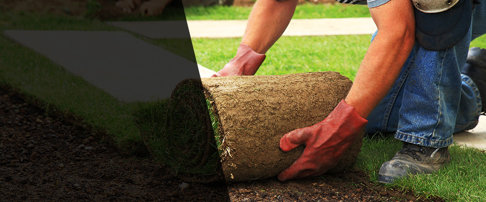 Getzville Landscapers